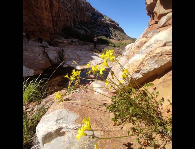 FARM FOR SALE IN CERES RURAL